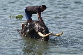 Daily Life In India