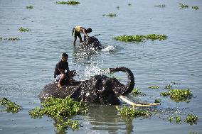 Daily Life In India