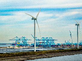 Wind Turbines - Rotterdam