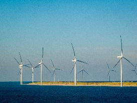 Wind Turbines - Rotterdam