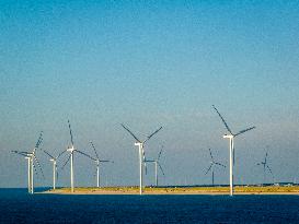 Wind Turbines - Rotterdam