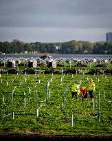 Construction of a solar park - Netherlands