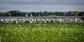 Construction of a solar park - Netherlands