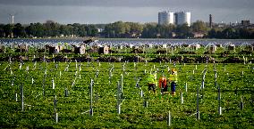 Construction of a solar park - Netherlands