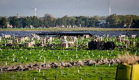 Construction of a solar park - Netherlands