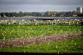 Construction of a solar park - Netherlands