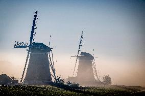 Morning mist in Autumn - Rotterdam