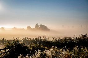 Morning mist in Autumn - Rotterdam