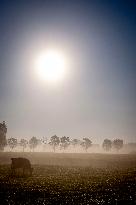 Morning mist in Autumn - Rotterdam