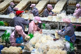 Golden Mushroom Production in Suqian