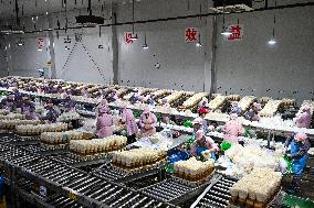 Golden Mushroom Production in Suqian