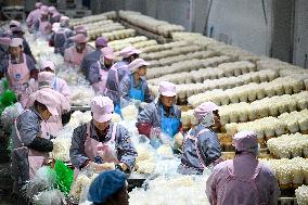 Golden Mushroom Production in Suqian