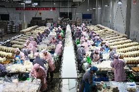 Golden Mushroom Production in Suqian