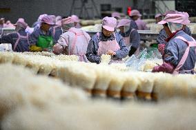 Golden Mushroom Production in Suqian