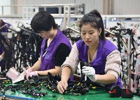 A Car Harness Production Line in Handan