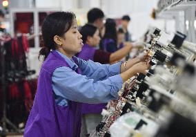 A Car Harness Production Line in Handan