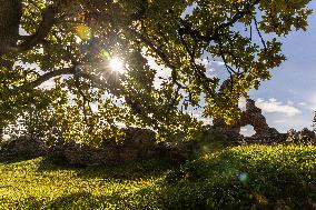 Ruins of the Viljandi Order Castle