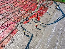 Modern Agriculture Industrial Park Construction in Anqing