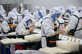 Dumpling Production Base in Suqian