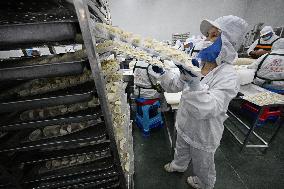 Dumpling Production Base in Suqian