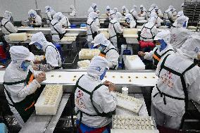 Dumpling Production Base in Suqian