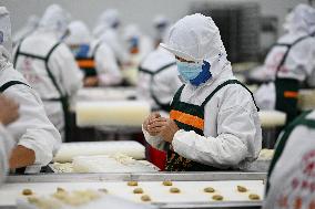 Dumpling Production Base in Suqian