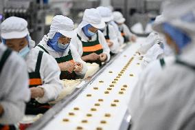 Dumpling Production Base in Suqian