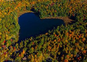 Autumn Scenery - Ontario