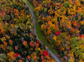 Autumn Scenery - Ontario