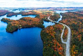 Autumn Scenery - Ontario