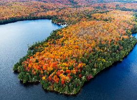 Autumn Scenery - Ontario