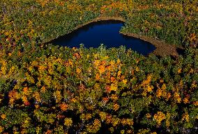 Autumn Scenery - Ontario