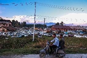 Daily Life In Kashmir