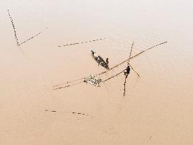 Flood In Sherpur Bangladesh