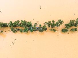 Flood In Sherpur Bangladesh