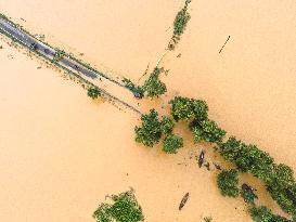 Flood In Sherpur Bangladesh