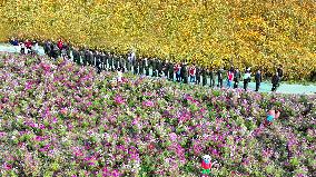 Double Ninth Festival Celebrate in Lianyungang