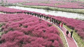 Double Ninth Festival Celebrate in Lianyungang