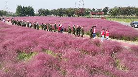 Double Ninth Festival Celebrate in Lianyungang