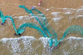 Seafood Harvest in Qingdao