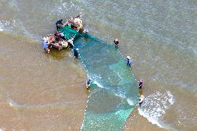 Seafood Harvest in Qingdao