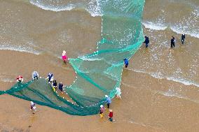 Seafood Harvest in Qingdao