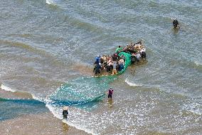 Seafood Harvest in Qingdao