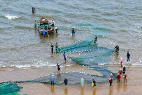 Seafood Harvest in Qingdao