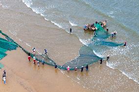 Seafood Harvest in Qingdao