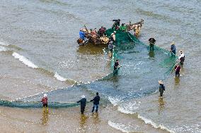 Seafood Harvest in Qingdao