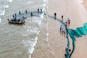 Seafood Harvest in Qingdao