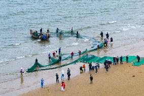 Seafood Harvest in Qingdao