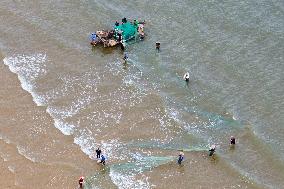 Seafood Harvest in Qingdao