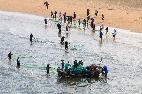 Seafood Harvest in Qingdao